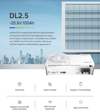 Dyness 24V 100Ah 2.56Kw Dl2.5 Lithium Battery