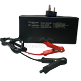 Swsa 48V 30A Lithium Ion Phosphate Battery Charger